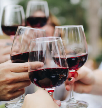 MI Wine tours