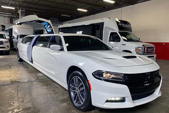 Michigan limo services