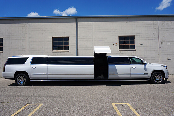 Luxury limousine services in MI