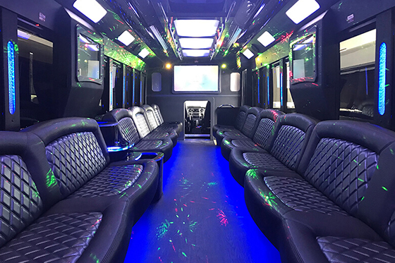 MI limo bus services