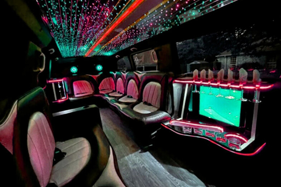 12-passenger limousine rental